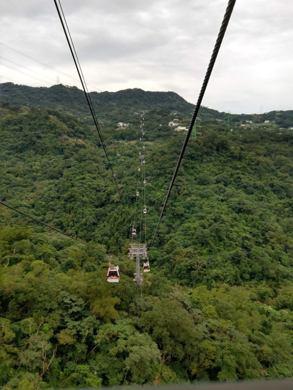 A somewhat vertigo-inducing photo of distant gondolas on a cable, taken from another gondola, over heavily wooded terrain.