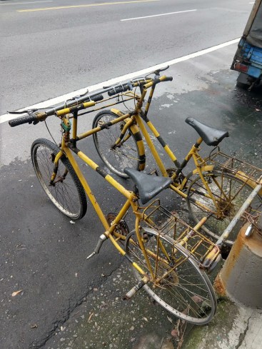 Two bikes that have been attached side-by-side with makeshift bars. The handlebars are connected with something like baling wire and a broomstick.