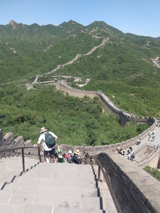 A thoroughly restored section of the Great Wall of China, winding its way over verdant hills. In the foreground, steps down, with a railing.
