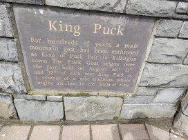 A sign reading: "King Puck - For hundreds of years, a male mountain goat has been enthroned as King of Puck Fair in Killorglin town. The Puck Goat reigns over the fair held on August 10th, 11th, and 12th of each year. King Puck is a symbol of a vast tradition whose origins are lost in the mists of time."