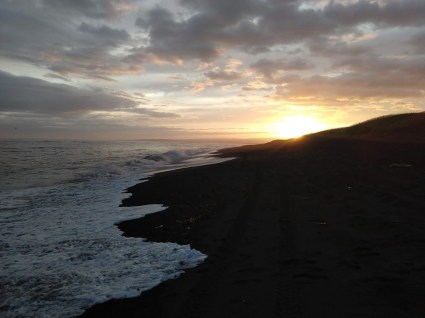 IMG_20190821_205315759