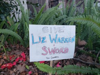 A handmade sign in pink, white, and blue lettering saying GIVE LIZ WARREN A SWORD YOU COWARDS. (You Cowards is in much smaller lettering.)