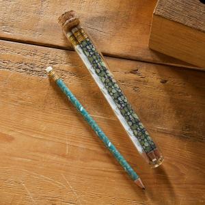 This is a picture of pencils in a test tube with a cork in it.