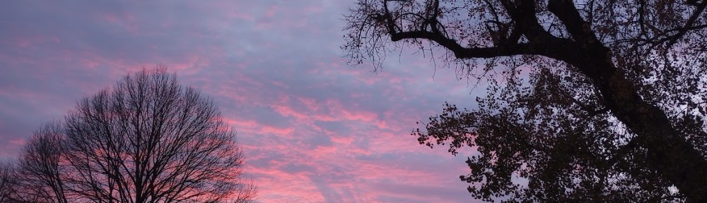 A beautiful St. Paul sunset